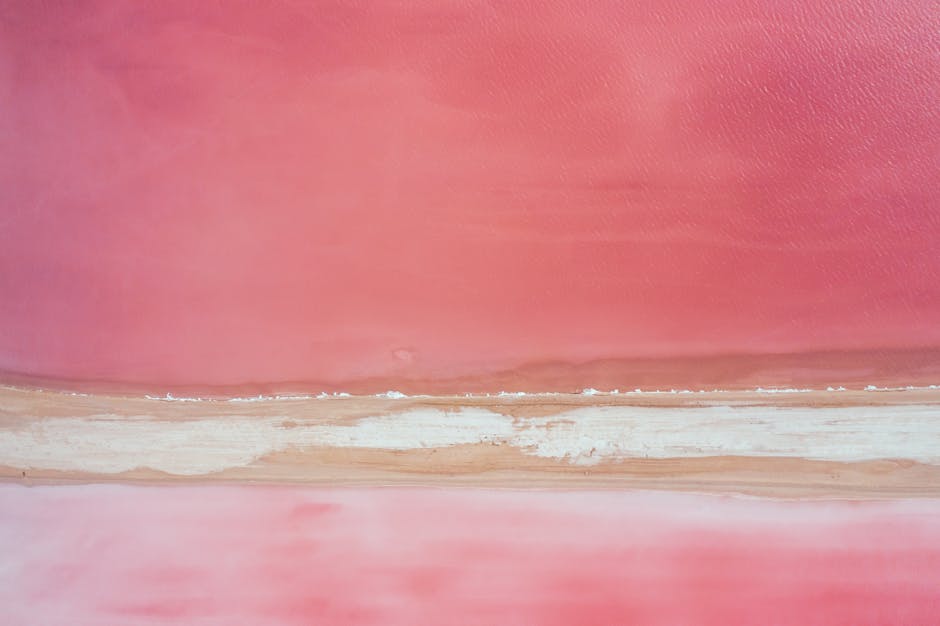 “From Legacy to Innovation: The Journey of Software Development Through the Ages”